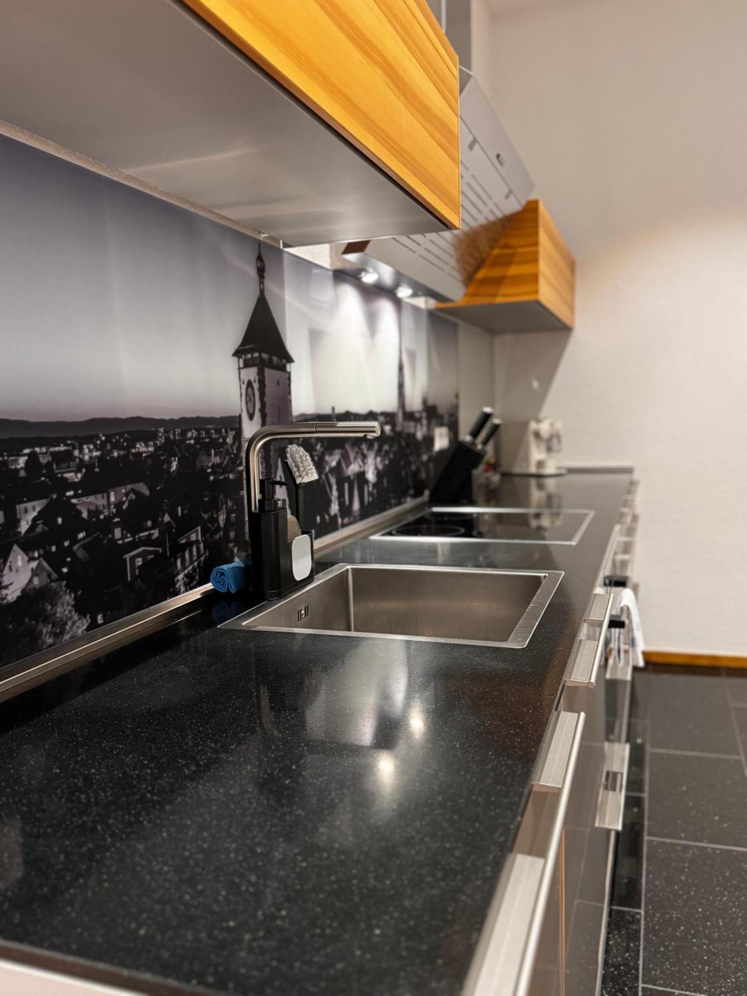 Historical Luxury Homes - Luxus Loft Wallstreet فرايبورغ المظهر الخارجي الصورة